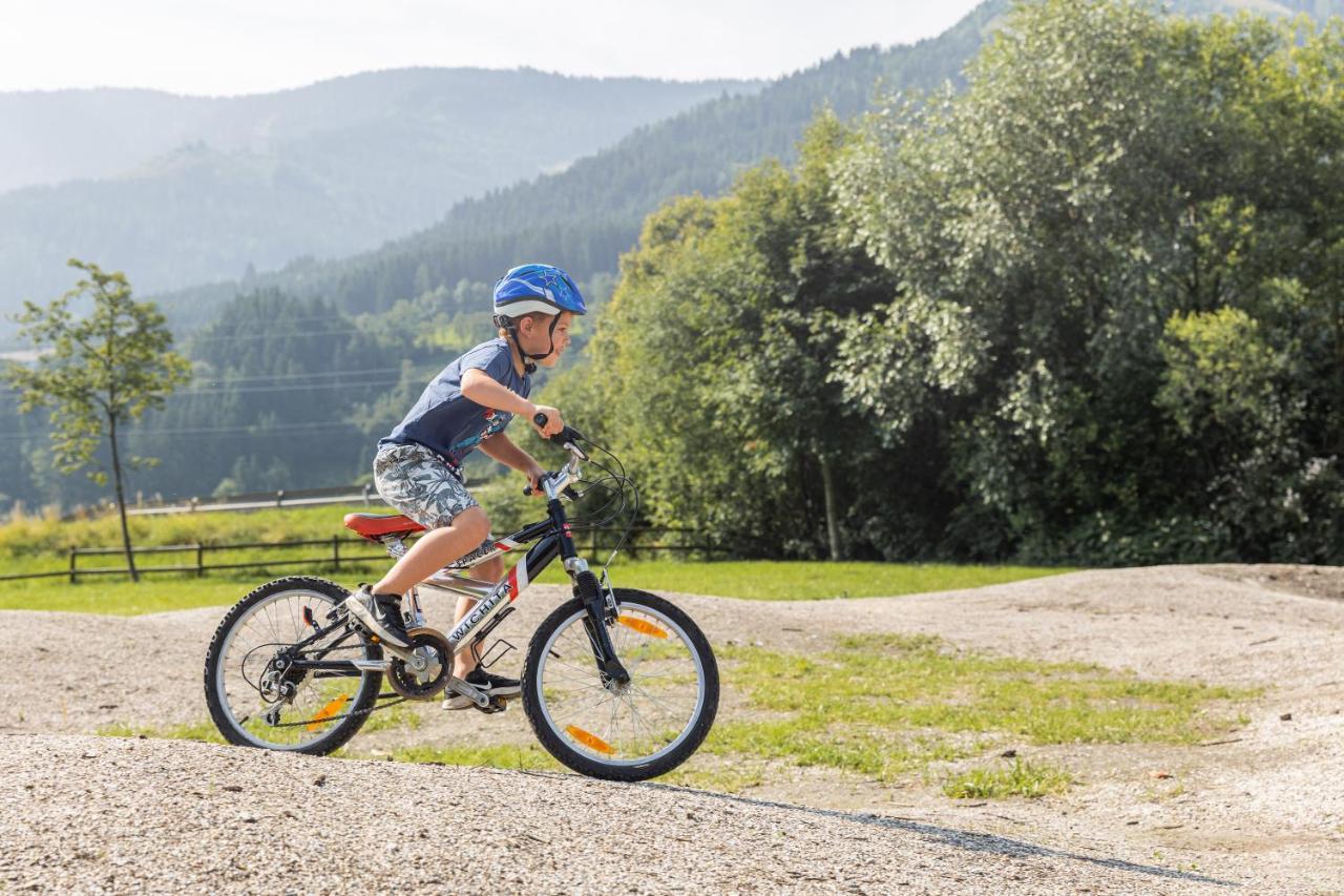 Chalets Am Badesee Lassing Lassing  エクステリア 写真